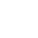 776brl icon