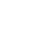776brl icon