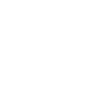 776brl icon